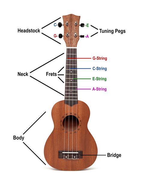 ukulele englisch